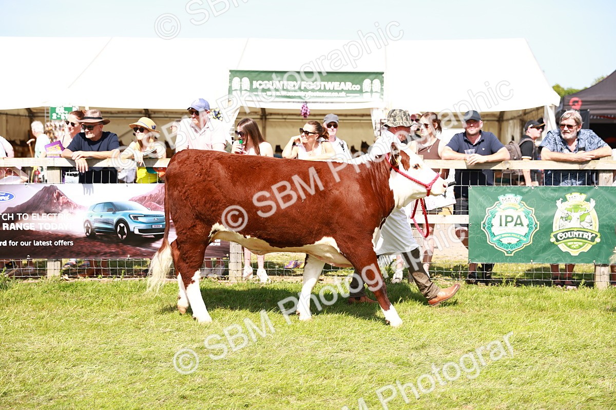 SBM_08377 - Grand Parade