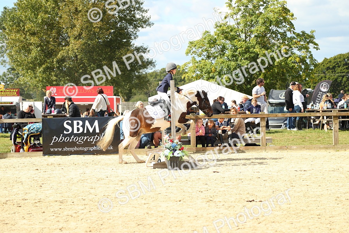 SBM_39498 - J6 - Junior Pony 55cm Championships
