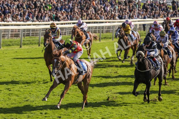 141023-Race 3-Montassib-0411 - Race 3 2.25pm Coral Sprint Trophy Handicap
