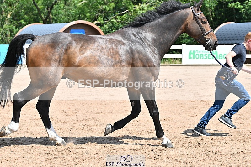 240718A-105239-00978 - Trot Up 11am to 12pm