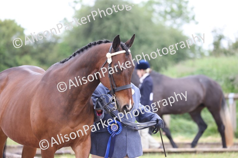 20250524-1079 - Championship