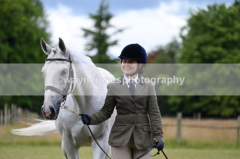 WJ7_6982 - Class 5a Most Handsome Gelding in Hand