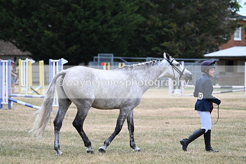 WJ7_2133 - Prettiest Mare Champs