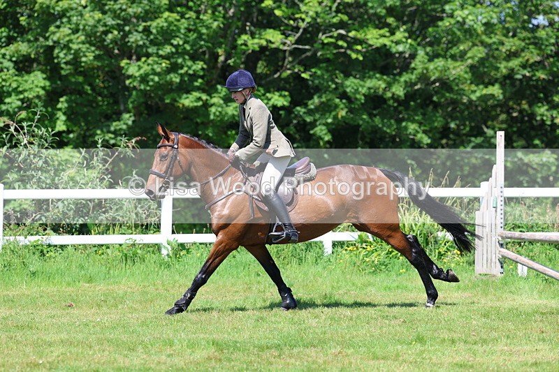 3E7A6985 - Class 30: Novice Working Hunter