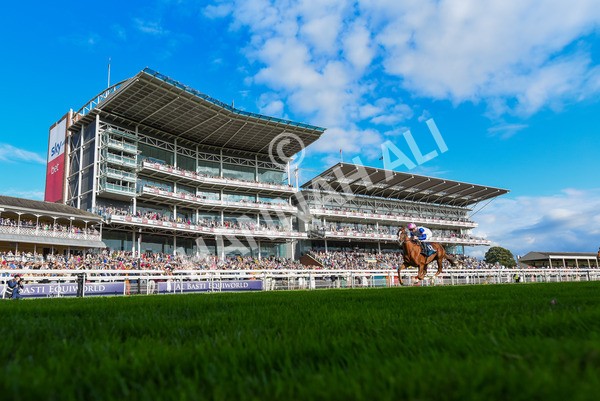 240823-Race 7-Nigiri-1358 - Race 7 5.20pm British EBF 40th Anniversary Fillies' Handicap