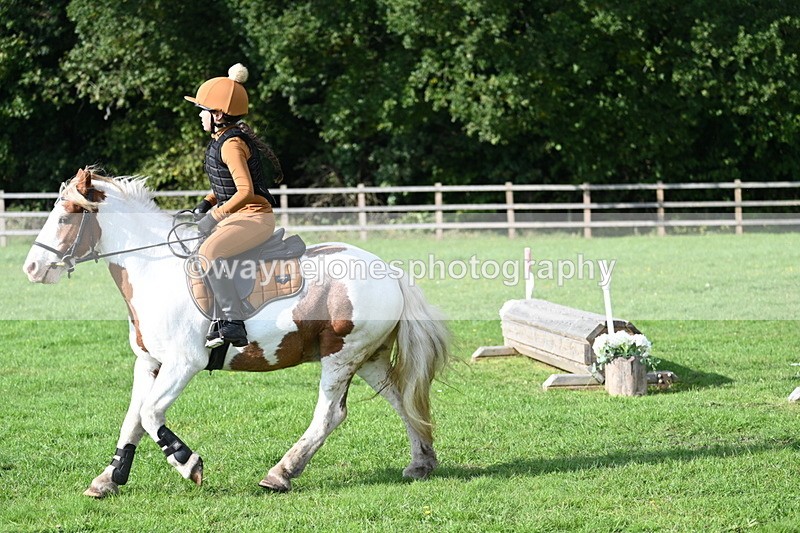 WJ7_3952 - 40cm Time 10:26 to 10:42