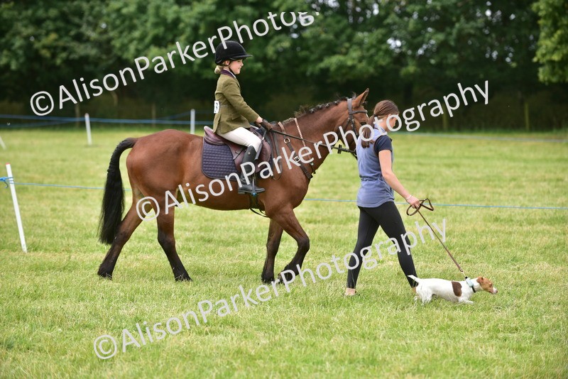 20260614-4511 - Class 19 - Cutest Pony, Rider and Dog Combination