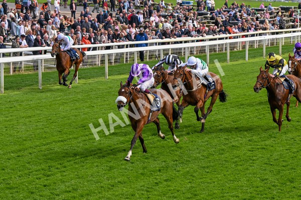 150524-Race 4-Secret Satire-4224 - Race 4 3.45pm Tattersalls Musidora Stakes