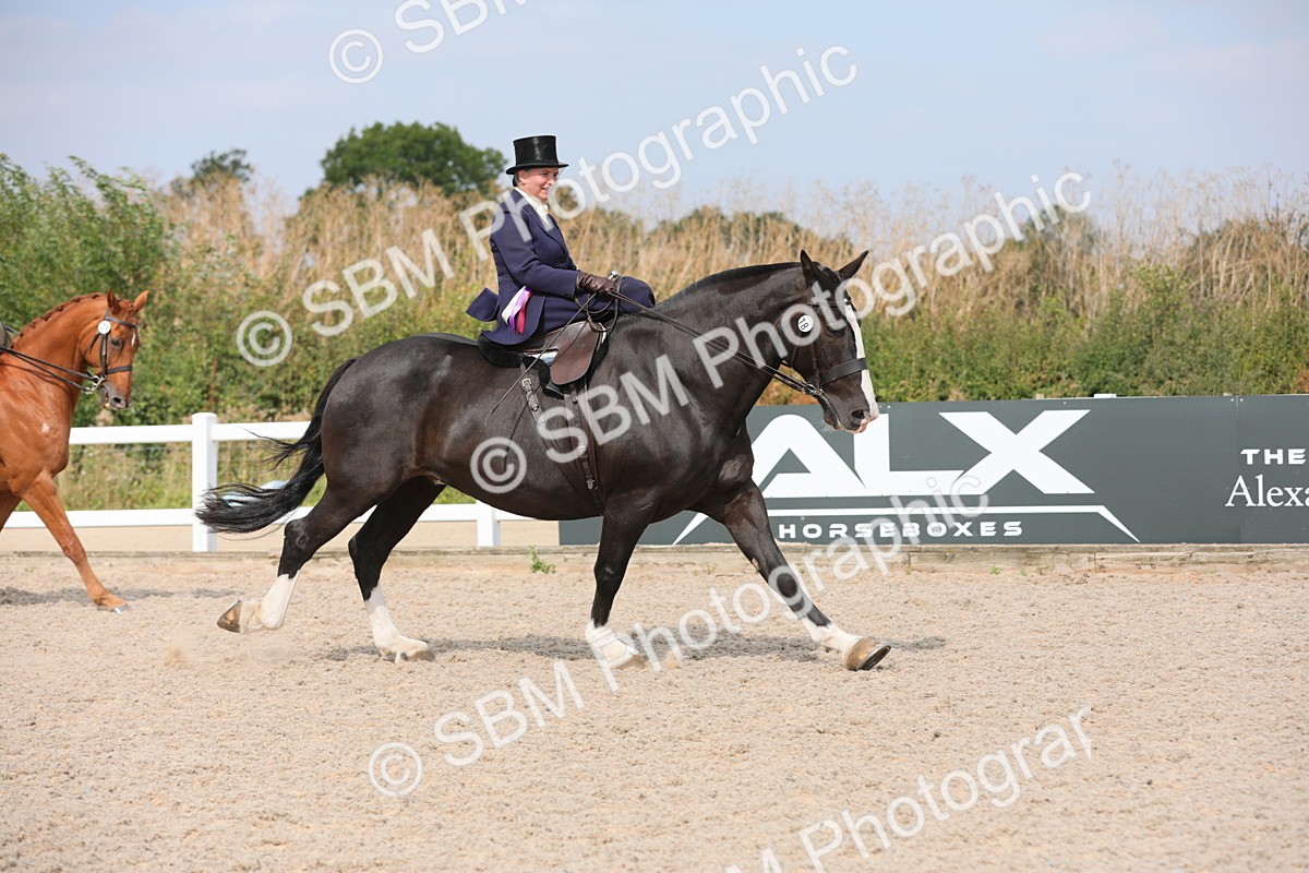 SBM_14657 - Class 211 Best Side Saddle Horse/Pony