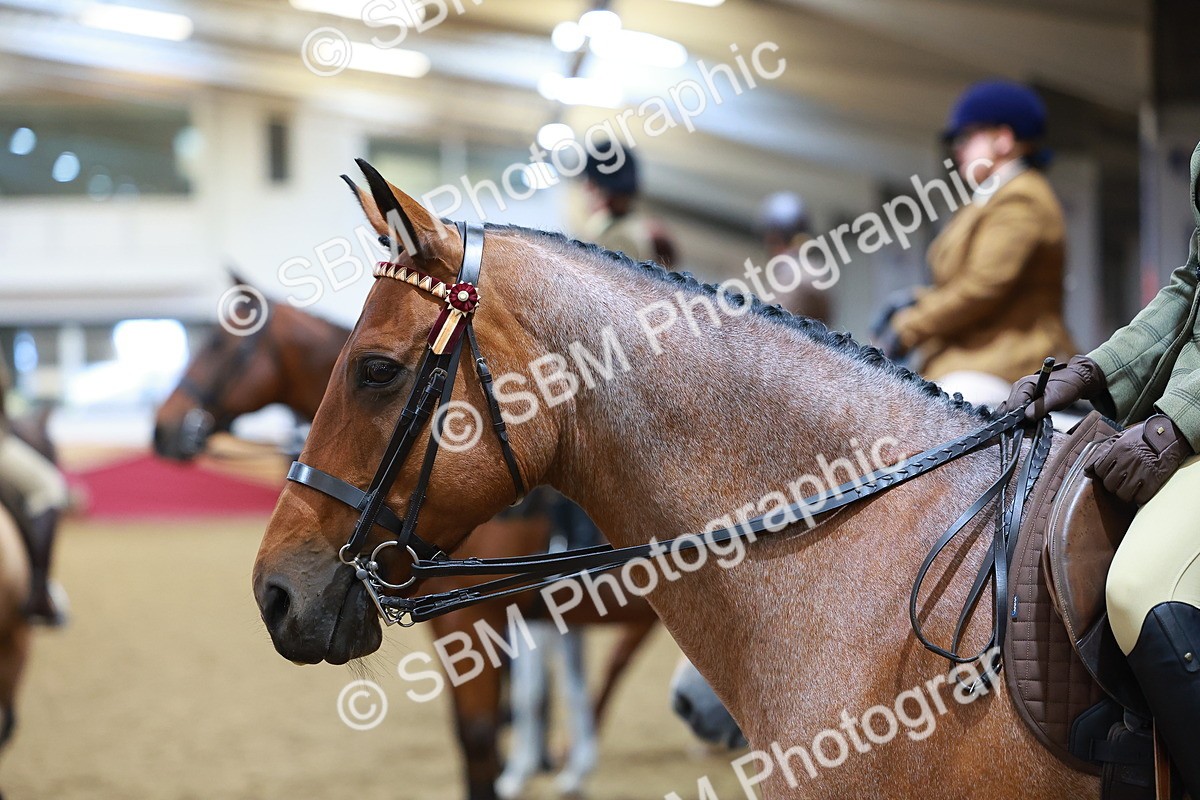 SBM_09480 - Class 102 - HOYS Veteran Qualifier - Ridden Veteran