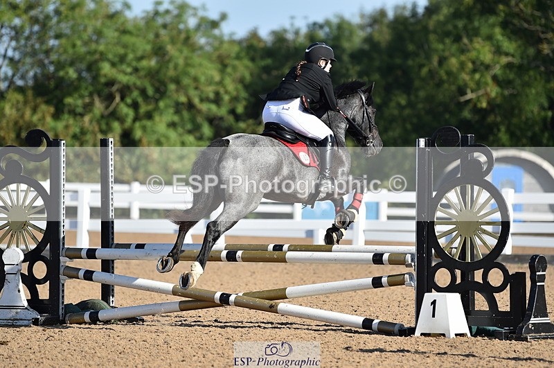 230903A-091216-03458 - Cls 17 Pony Intro 75cm