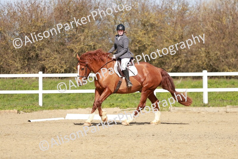 20260314-2845 - DR3 - Prelim 1