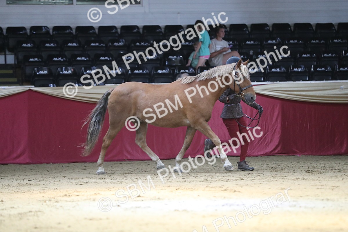 SBM_04378 - Class 7R Regional - IH Diamond