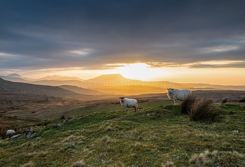 MF1_0798 - Lough Salt