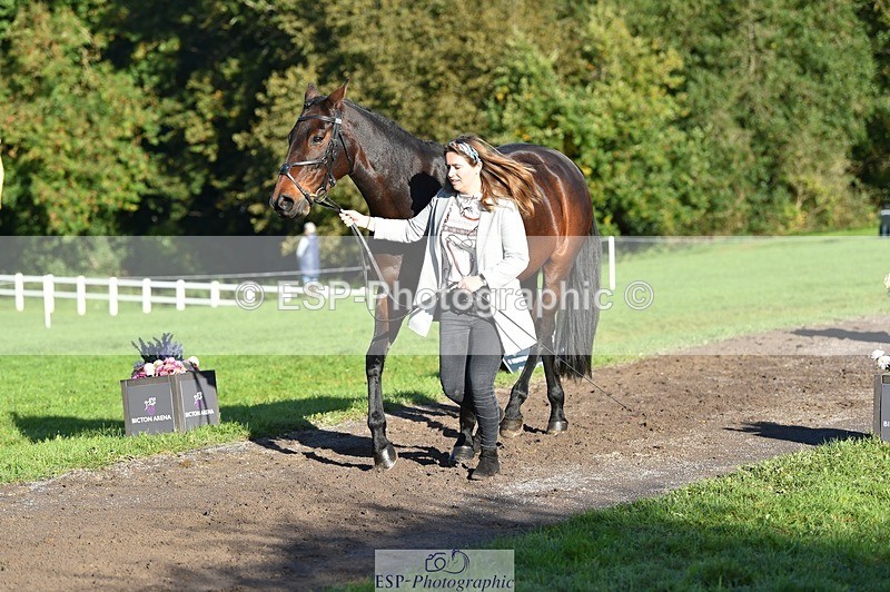 231022-101130-22293 - 503-JAGUAR.MAID-Isobel.Lole-TrotUp+SJ