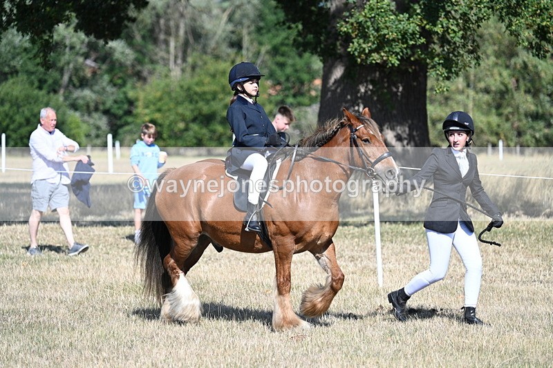 WJ7_2984 - Class 8 Ridden Tack & Turnout