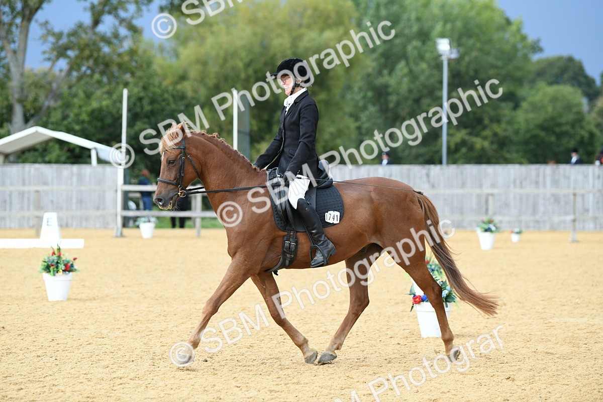 SBM_10948 - D28 Elementary Taster Elementary 42