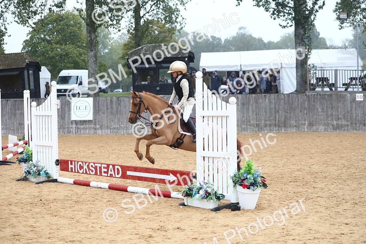 SBM_71742 - J4 - Mini Tour Junior Pony 45cm Championship