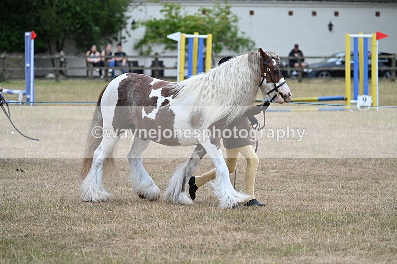 WJ7_8253 - Class 4 Prettiest Mare up to 14.2hh