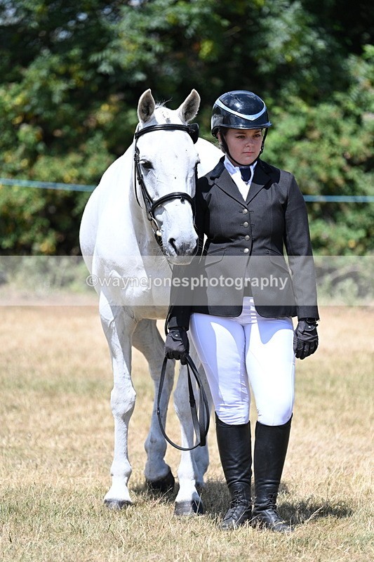 WJ7_2408 - Class 5a Most Handsome Gelding in hand (above 14.2hh)