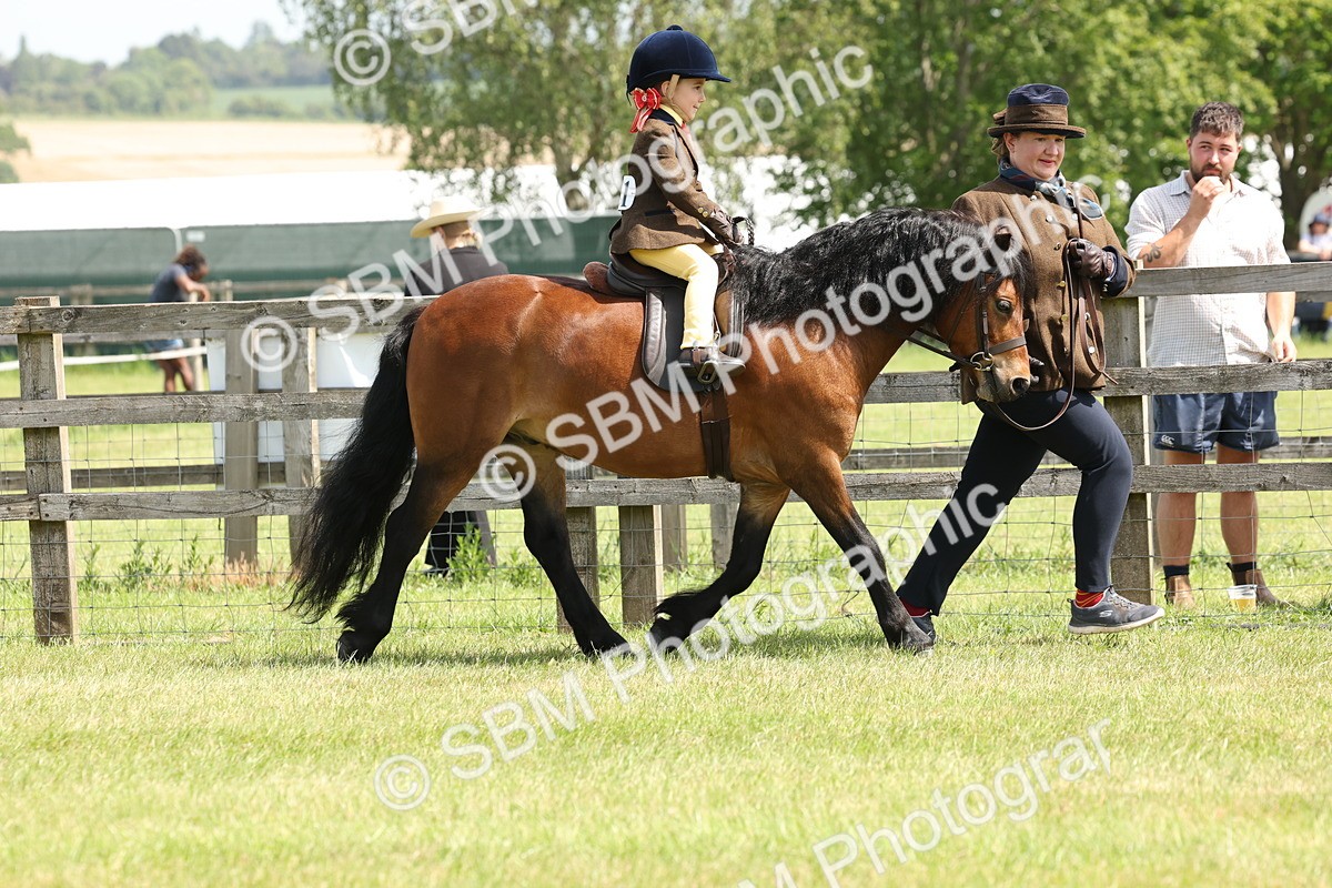 SBM_05180 - Class 24-25 - Mountain & Moorland In Hand Lead Rein and First Ridden