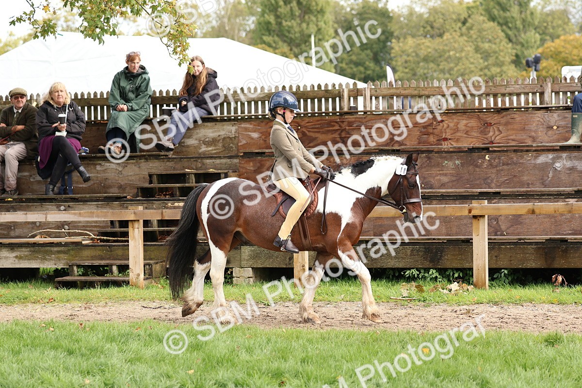 SBM_45159 - S27 - Young Veteran Ridden