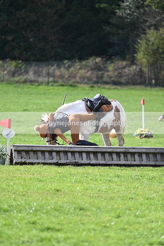 WJ7_3975 - 40cm Time 10:26 to 10:42