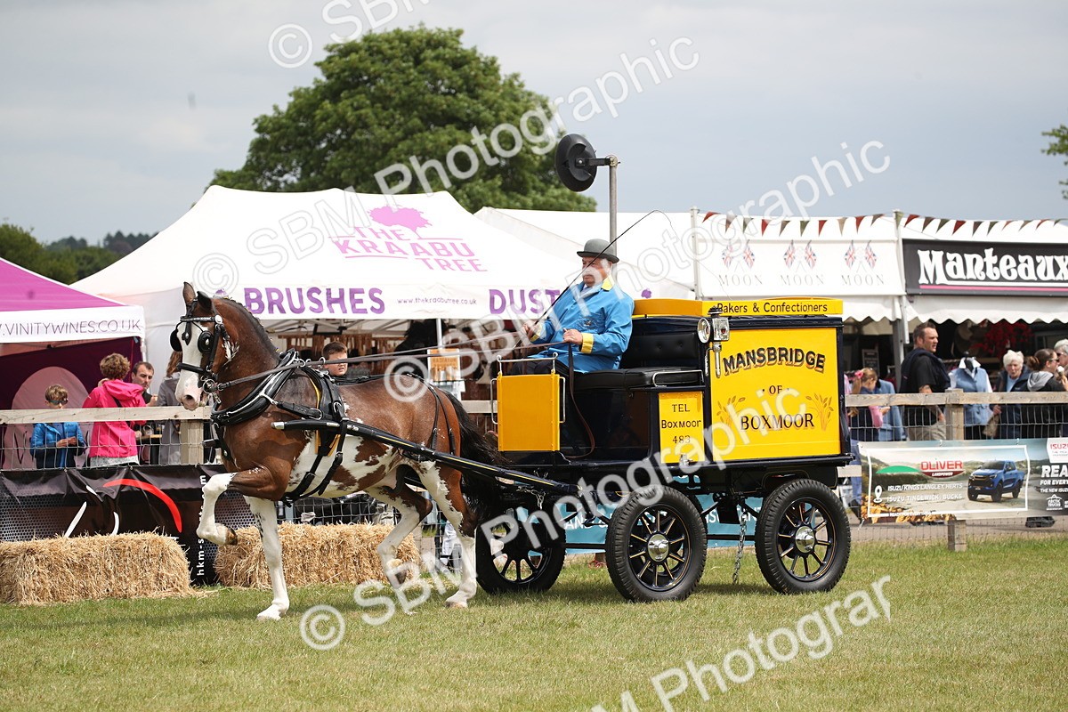 SBM_07010 - Class 16 - Light Trade