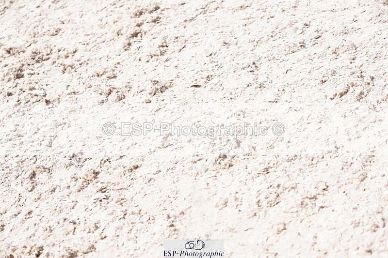 250525-105342-09184 - Cls 32 A&B Snr Brit Nov & 90cm Open