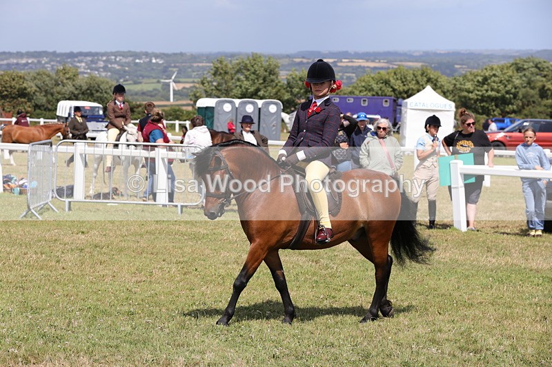 1X9A5362 - Class 37: NPS M&M First Ridden