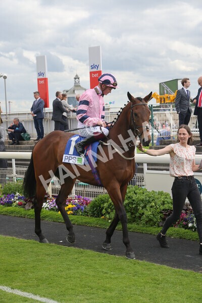 yr11062022r8-12 - Race 8 5.25pm Clean up with PPS Stakes