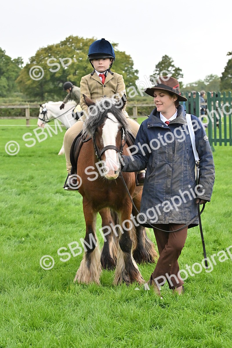 SBM_42905 - S12 - Family Horse & Pony