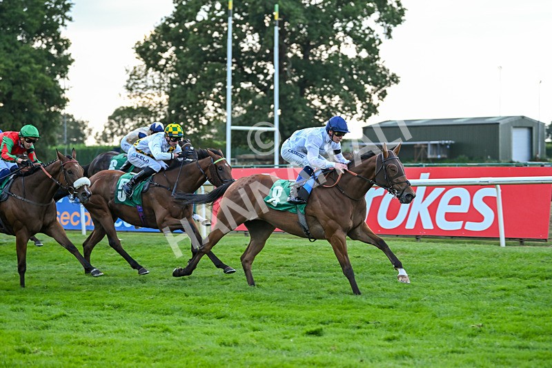 150825-Race 4-Fire Flame-2821 - Race 4