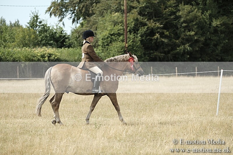 _PJP6102 - Ridden Championship BVRC Show 2018