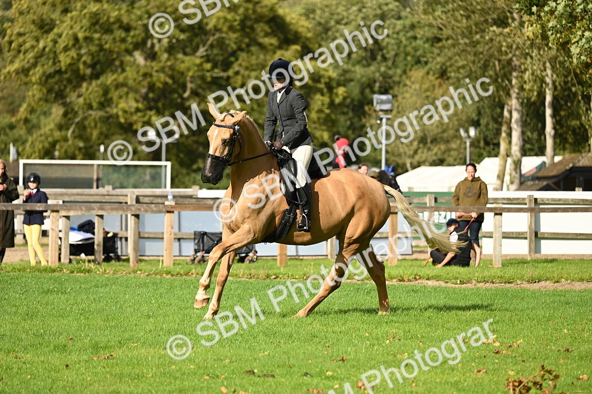 SBM_26407 - S6 - Novice & newcomer Ridden horse