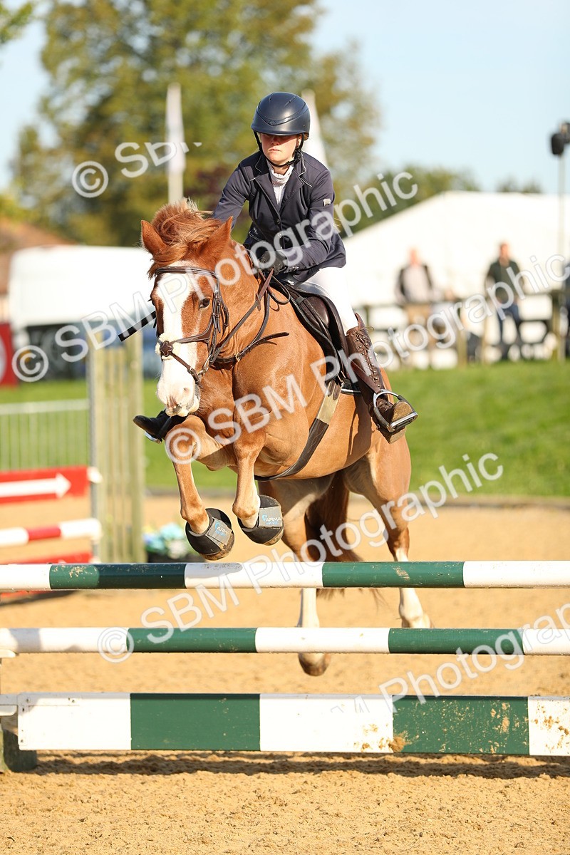 SBM_60188 - J41 - Grand Tour 95cm Championship