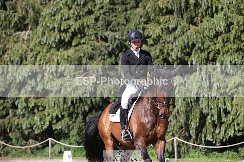 230526-170226-07892 - 174-LANCELOT_BMG-Alfie_Marshall-WEDTrotUp+DR