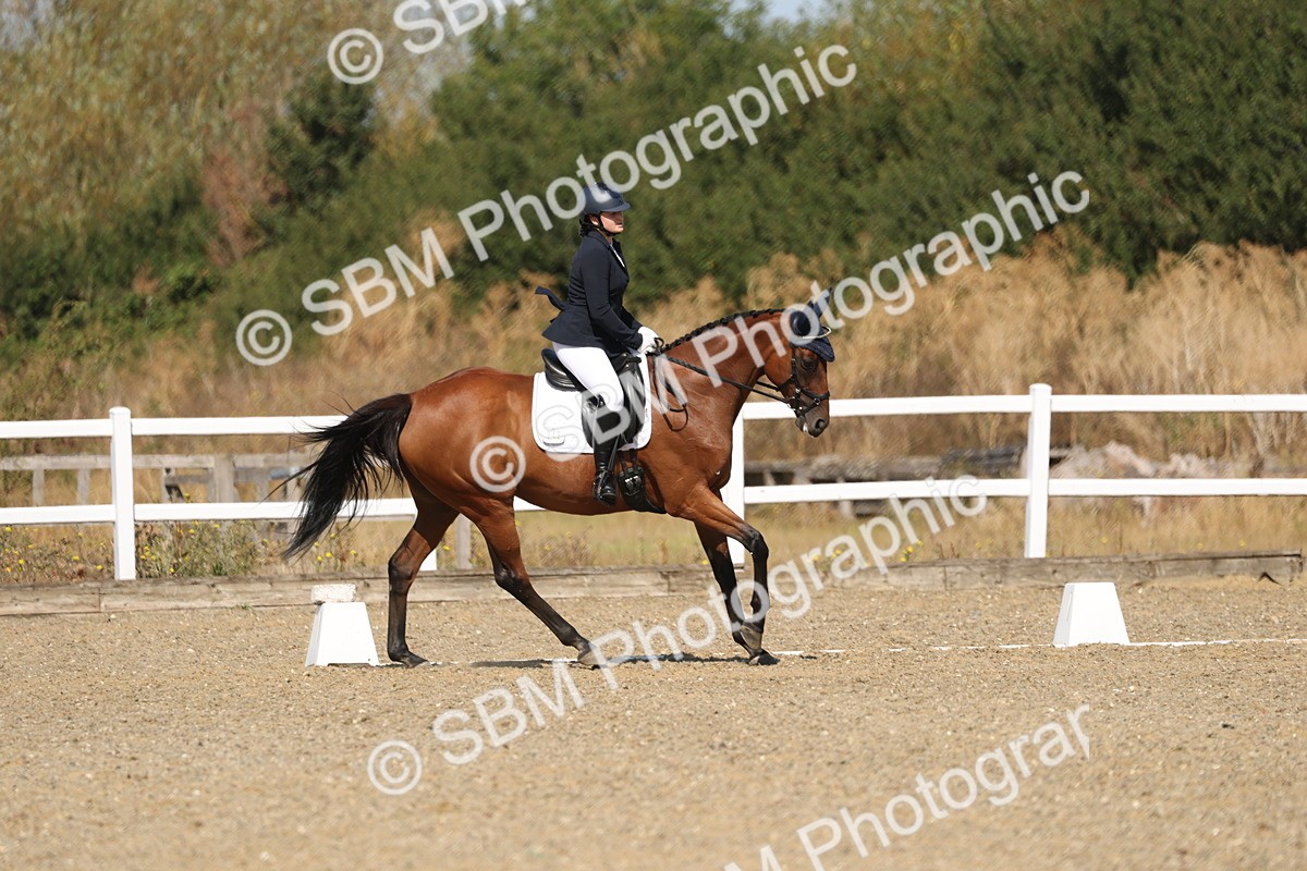 SBM_013502
