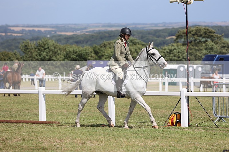 JPP_2251 - Class 19: Working Hunter 60cm