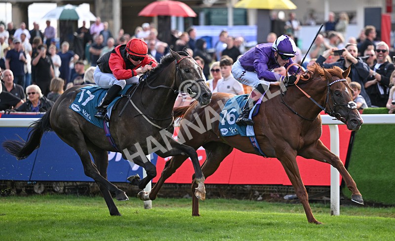 190826-258 Henley On Thames - Race 7 17.20pm Sky Bet Nursery Handicap