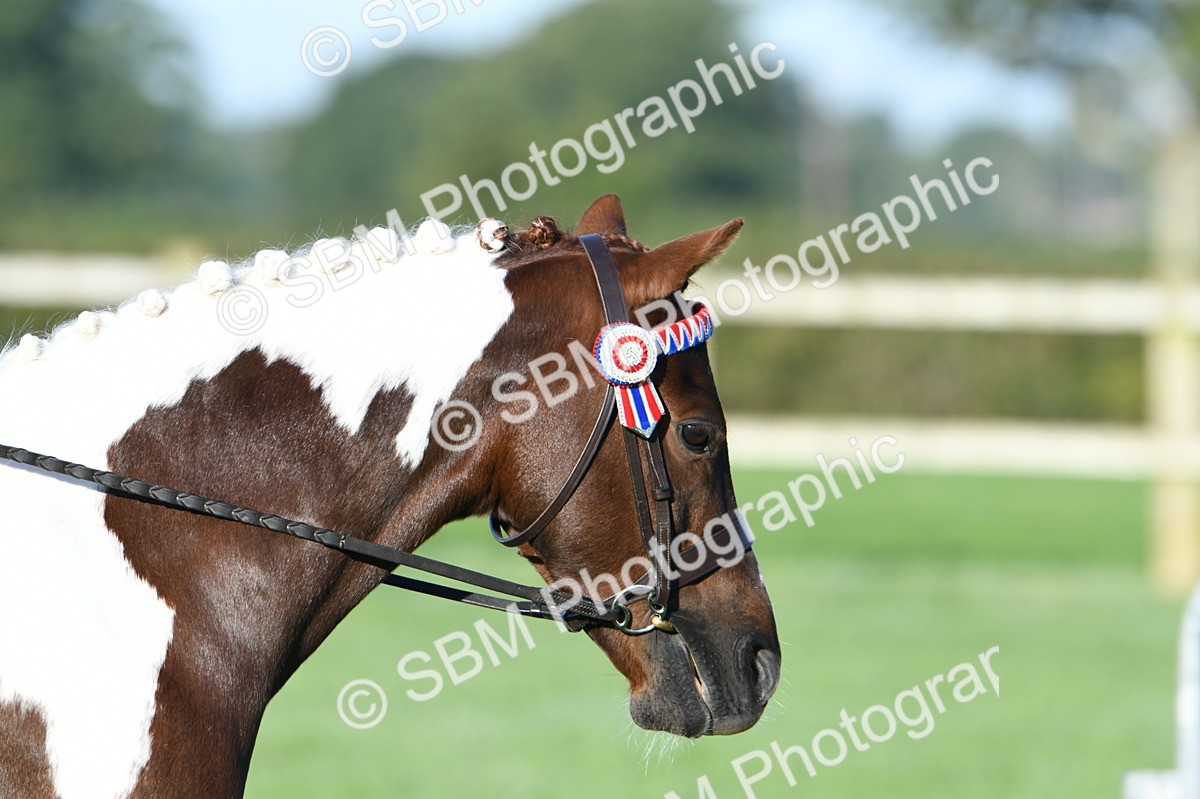 SBM_33893 - S16 - Condition & Turnout - Ridden