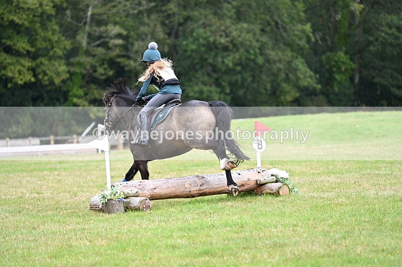 WJ7_7538 - 40cm Time 10:27 to 10:47