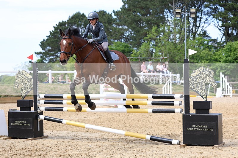 3E7A7057 - Class 7: Senior Newcomers/1.10m open