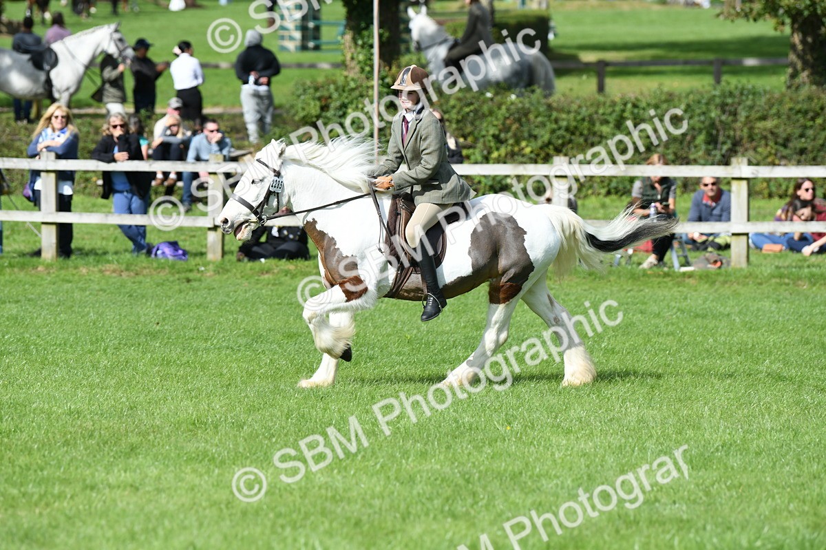 SBM_47018 - S12 - Family Horse & Pony