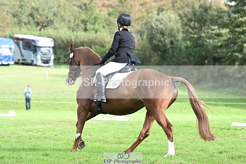 231020-121137-08023 - 484-JESATRAN.FIRECRACKER-Sally.Morton-DR