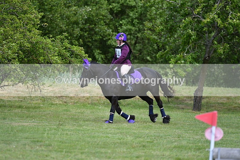 WJ5_3216 - Class 4 60cm