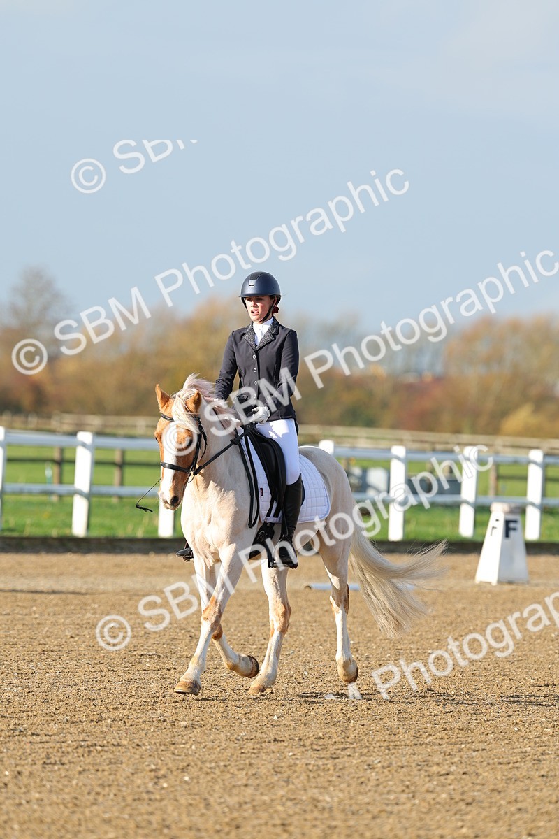 SBM_003005 - Class 2 - Intro 3