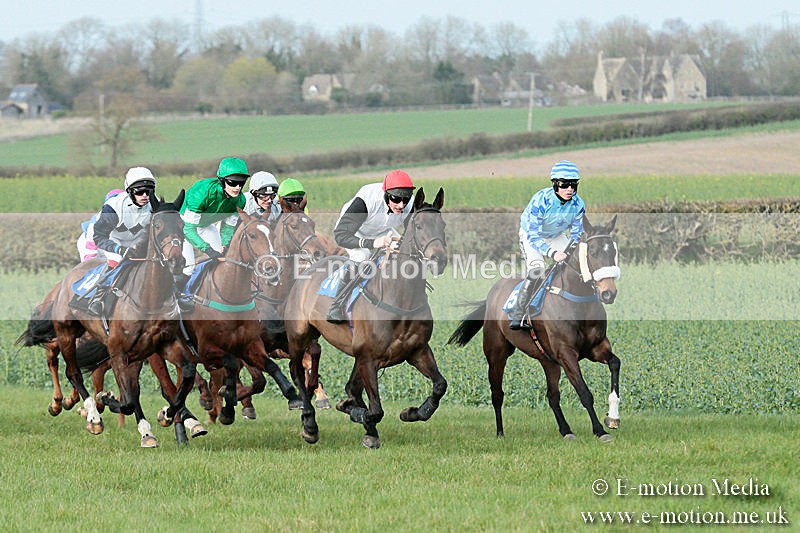 PtP 230319 416 - VWH Hunt Siddington Point-to-Point Racing 23/03/19