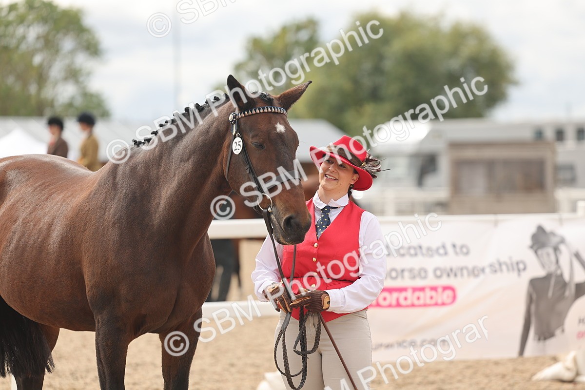 SBM_16985 - Class 312 - IH Competition Horse-Pony