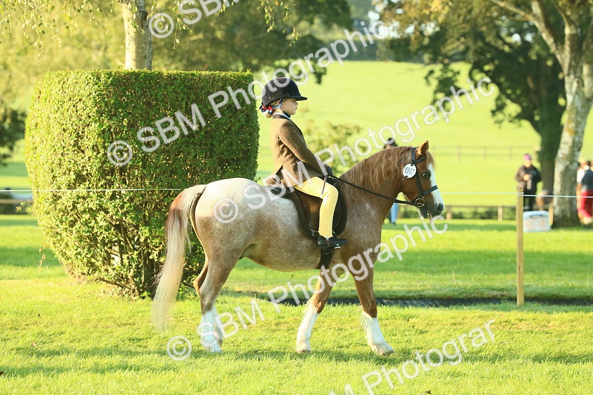 SBM_56774 - S36 - Starters Best Turnout